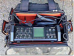 Roland R-88 - 8 +2 Channel Field Recorder.