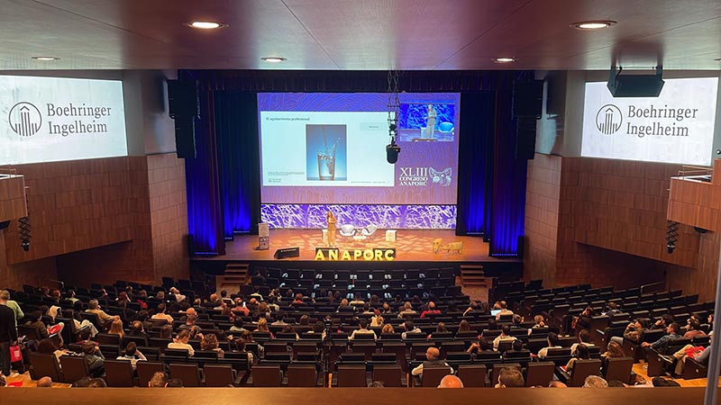 Rampa Huesca Roland VR-120HD