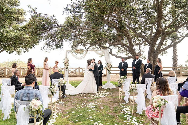 All Because He Asked Wedding