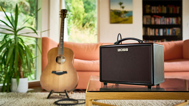 The Complete Guide to Acoustic Guitar Amplifiers