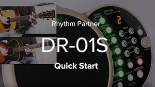 BOSS - DR-01S | Rhythm Partner