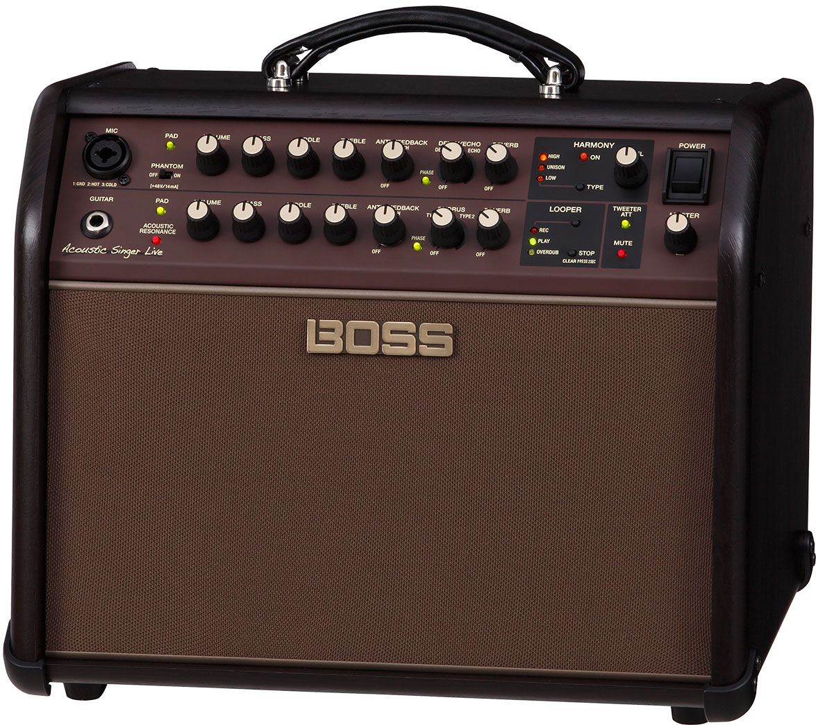 best acoustic guitar amp for vocals