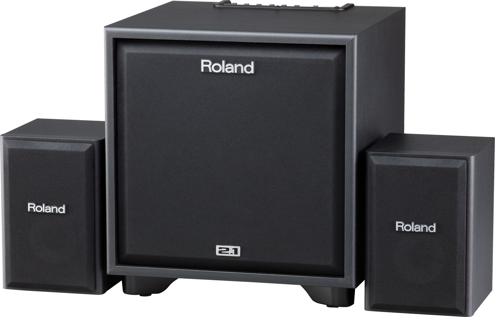 Roland - CM-220 | CUBE Monitor