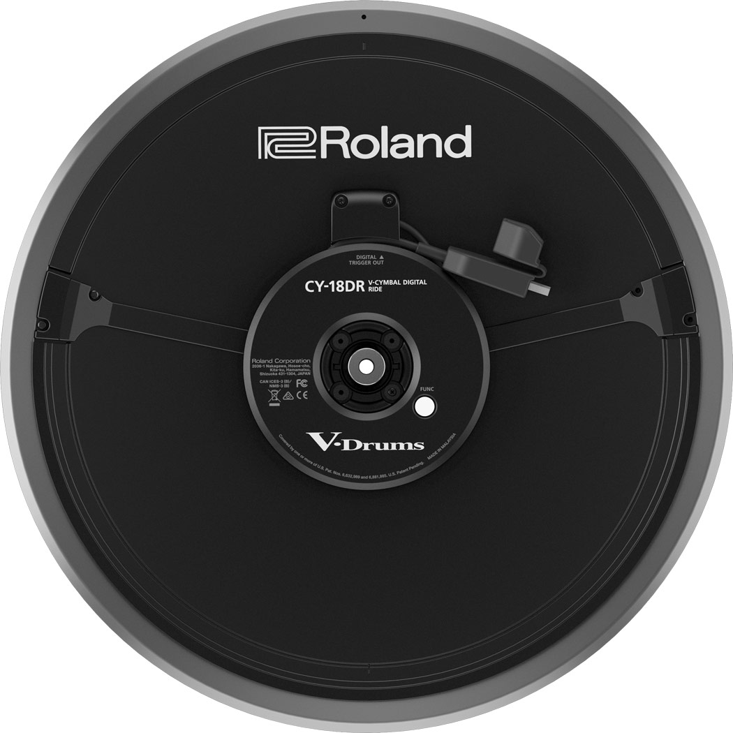 Roland - TD-50DP | TD-50 Digital Upgrade Pack