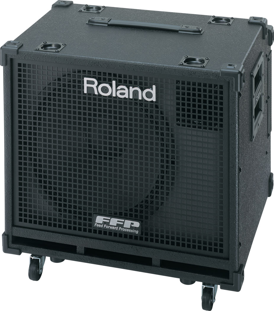 Roland D Bass 115x Powered Satellite Cabinet