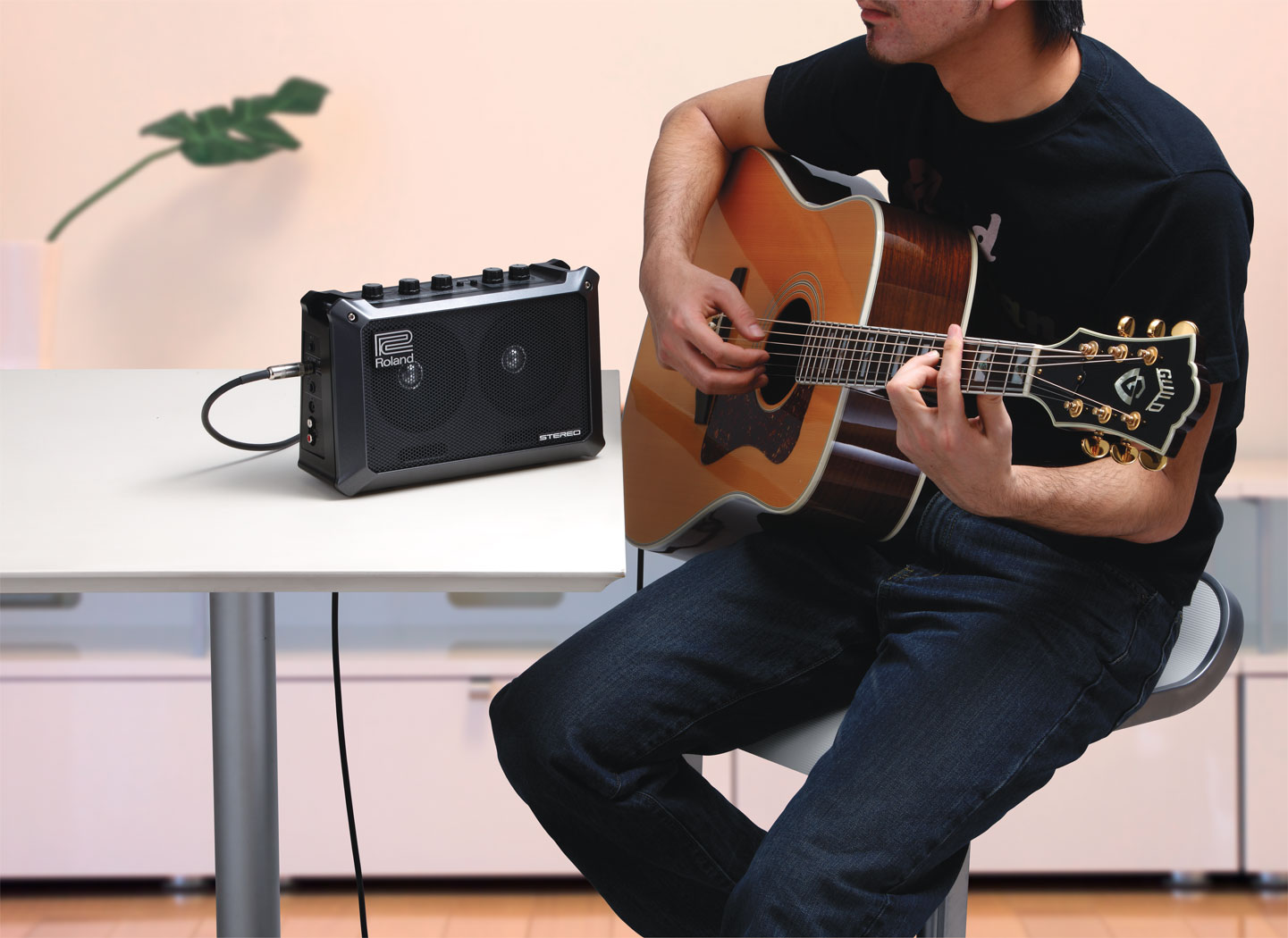 Roland - MOBILE CUBE | Battery-Powered Stereo Amplifier