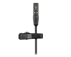 L5