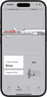 Aerophone Brisa Plus