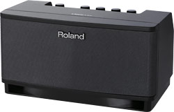 Roland - CUBE Lite | Guitar Amplifier