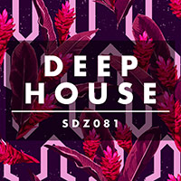 SDZ081 Deep House