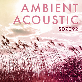SDZ092 Ambient Acoustic