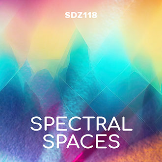 SDZ118 Spectral Spaces