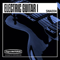 SNA004 SuperNATURAL Electric Guitar 1