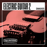 SNA005 SuperNATURAL Electric Guitar 2