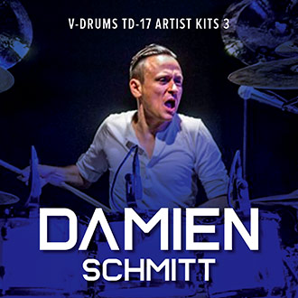 Roland - TD-17 Artist Kits 03: Damien Schmitt | V-Drums Kit Expansion