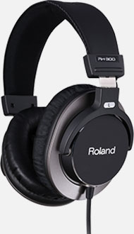 Roland - RH-300 | Stereo Headphones