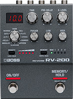 RV-200