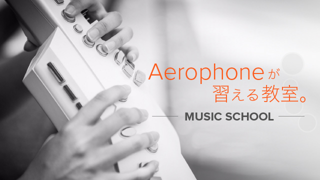 Roland - Aerophone AE-10 | Digital Wind Instrument