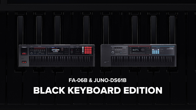 Roland - JUNO-DS | Synthesizer