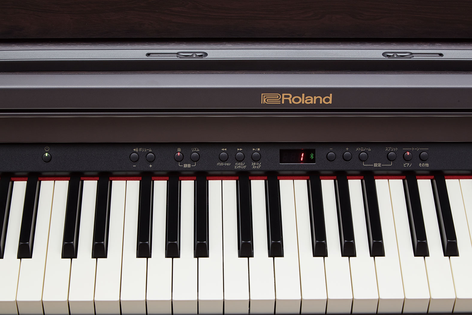 Roland - RP501R | Digital Piano